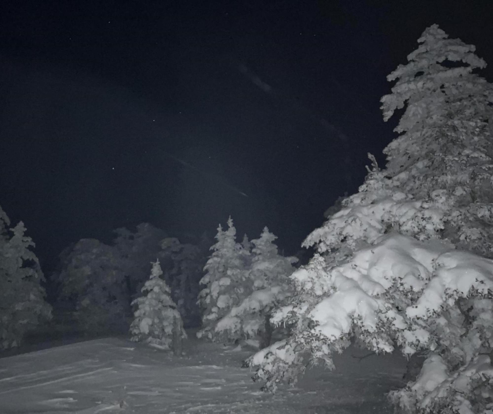 Sachinoyu Hotel Shiga Kogen Yamanouchi  Eksteriør bilde