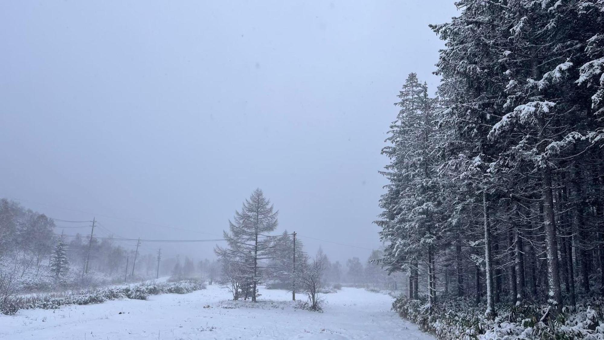 Sachinoyu Hotel Shiga Kogen Yamanouchi  Eksteriør bilde