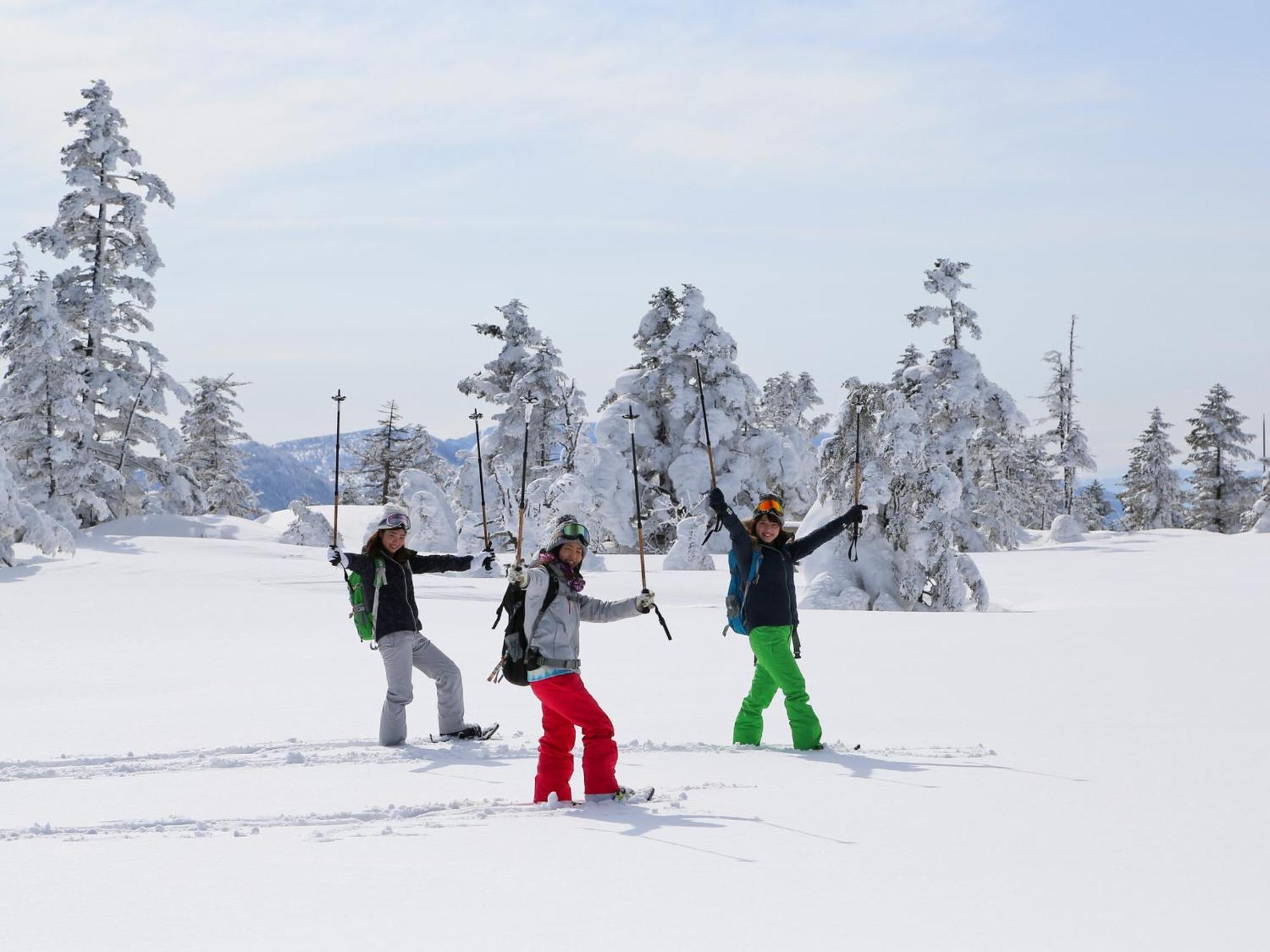 Sachinoyu Hotel Shiga Kogen Yamanouchi  Eksteriør bilde