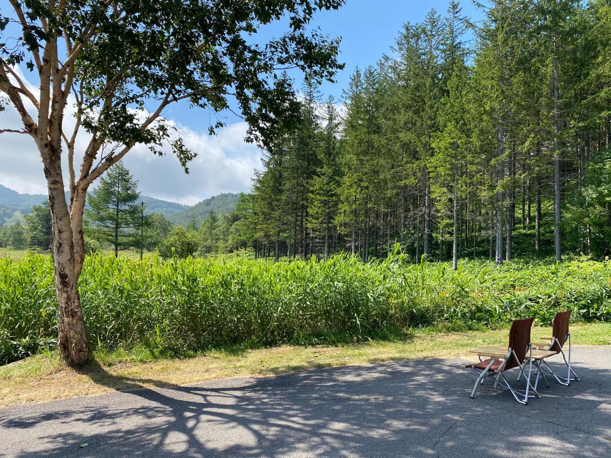 Sachinoyu Hotel Shiga Kogen Yamanouchi  Eksteriør bilde